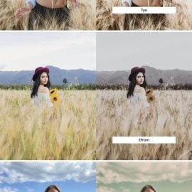 20 Rye Lightroom Presets & LUTs Free Download