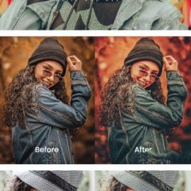 Adema Lightroom Presets Dekstop and Mobile Free Download