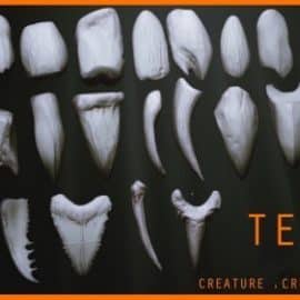 ArtStation TEETH Zbrush 24 Assorted Teeth IMM Brush Free Download