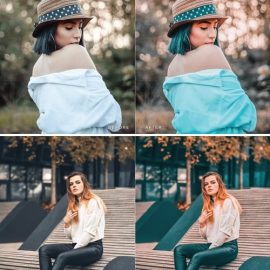 Bletilla Mobile and Desktop Lightroom Presets Free Download