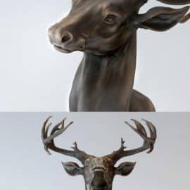 Bronze Sculpture & Head of a Deer Free Download