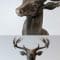 Bronze Sculpture & Head of a Deer Free Download