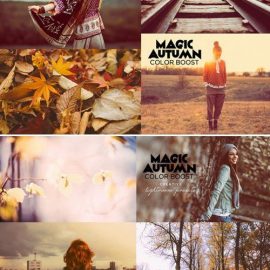 CM 20 Autumn Lightroom Presets 429606 Free Download