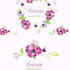 CM Anemone watercolor clip art 235890 Free Download