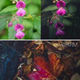 CM Autumn Vibes Lightroom Presets 1957277 Free Download