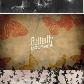 CM Butterfly Brushes For Photoshop 339486 Free Download