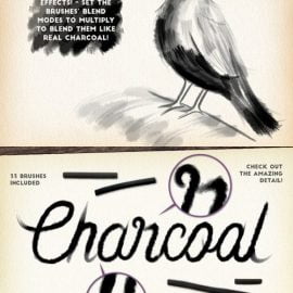 CM Charcoal Brushes 505394 Free Download