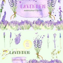 CM Lavender watercolor clip art 234179 Free Download