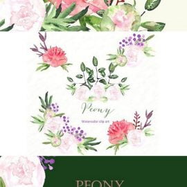 CM Peony set watercolor clip art 232838 Free Download