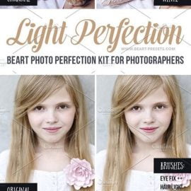 CM Portrait Lightroom Presets and Brush 493328 Free Download