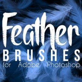 CM Real Feather Photoshop Brushes 421147 Free Download