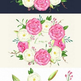 CM Roses Lana watercolor Clipart 251874 Free Download