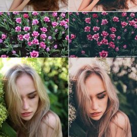 CM Strawberry zephyr Lightroom preset 1237374 Free Download