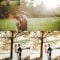 CM Sunlit Wedding Presets LR & PS 1344250 Free Download