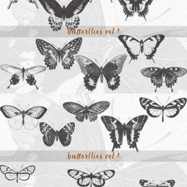 CM VintageVectorized-Butterfly Clipart 1759581 Free Download