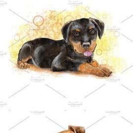 CM Watercolor Dogs set. Big Bundle 1745614 Free Download