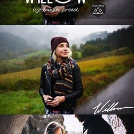 CM Willow | LR Preset 1167157 Free Download