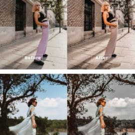 Candace Desktop and Mobile Lightroom Preset Free Download