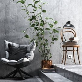 Casual chair Plant & Decor set Combination Free Download