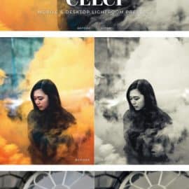 Celci Mobile and Desktop Lightroom Presets Free Download