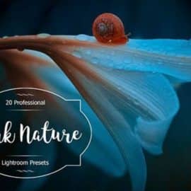 CreativeMarket Dark Nature Lr Presets 2936223 Free Download