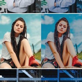 Danica Mobile and Desktop Lightroom Presets Free Download