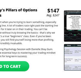 Danielle Shay’s Pillars of Options Trading Class Free Download