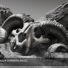 Exp-points Sculpting a Chimera Skull Phil Liu Free Download