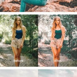 Fani Lightroom Presets Dekstop and Mobile Free Download