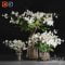 Gardenia jasmine bouquet vases Free Download