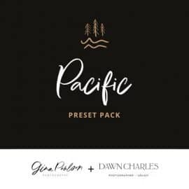 Ginapaulson GP x DC ‘PACIFIC Pack’ PRESETS Free Download