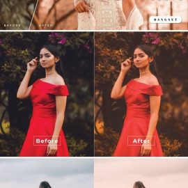 Halina Desktop and Mobile Lightroom Preset Free Download