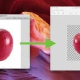 JPG to PNG: Image Background Removal Made Easy