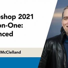 LinkedIn Photoshop 2021 One-on-One Advanced Free Download