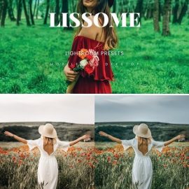 Lissome Lightroom Presets Dekstop and Mobile Free Download