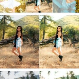 Midsummer Mobile & Desktop Lightroom Presets Free Download