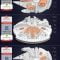 Millennium Falcon 3D Print Model Free Download