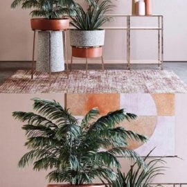 Modern decorative plant combination Free Download