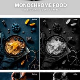 Monochrome Food | Deluxe Edition for Mobile and PC Free Download