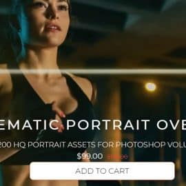 ProEDU Master Collection 200 Cinematic Portrait Overlays HD Volume 2 Free Download