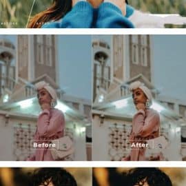 Rainer Desktop and Mobile Lightroom Preset Free Download