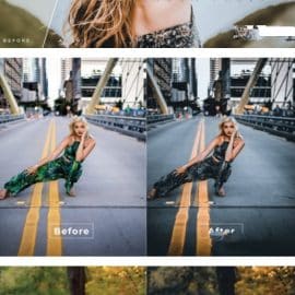 Raneysha Desktop and Mobile Lightroom Preset Free Download