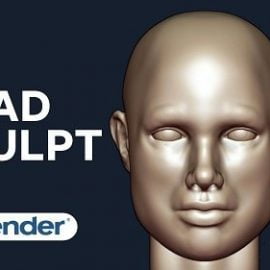 Sculpting Human Head In Blender For Beginners Free Download