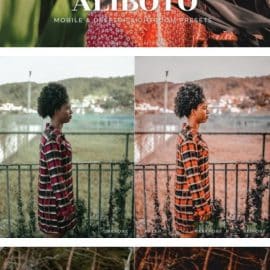 Aliboto Mobile and Desktop Lightroom Presets Free Download