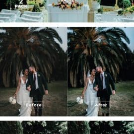 Bangset Wedding Pack 2 Video LUTs Free Download