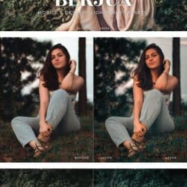 Berjua Mobile and Desktop Lightroom Presets Free Download