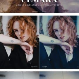 Cemara Mobile and Desktop Lightroom Presets Free Download