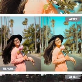 Clair Lightroom Presets Dekstop and Mobile Free Download