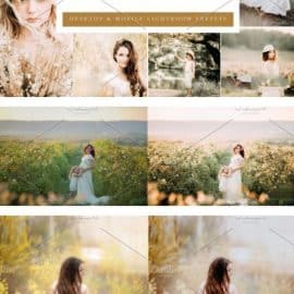 CreativeMarket 10x Lightroom Presets Shades Yellow 6071356 Free Download