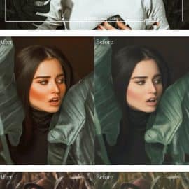 CreativeMarket AVOCCADO LIGHTROOM PRESETS 6243280 Free Download